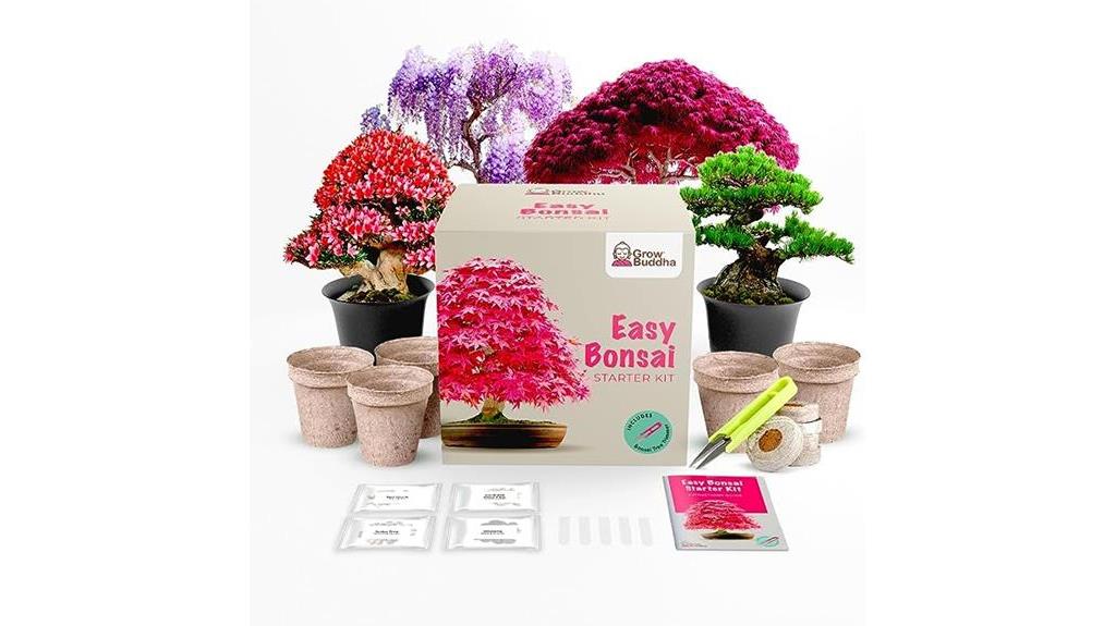 bonsai tree gardening kit