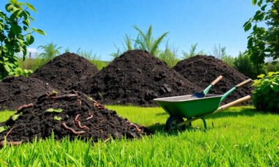 top compost choices guide