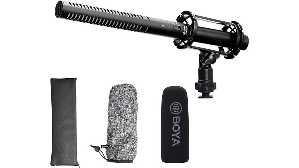 microphone with shockmount and windscreen