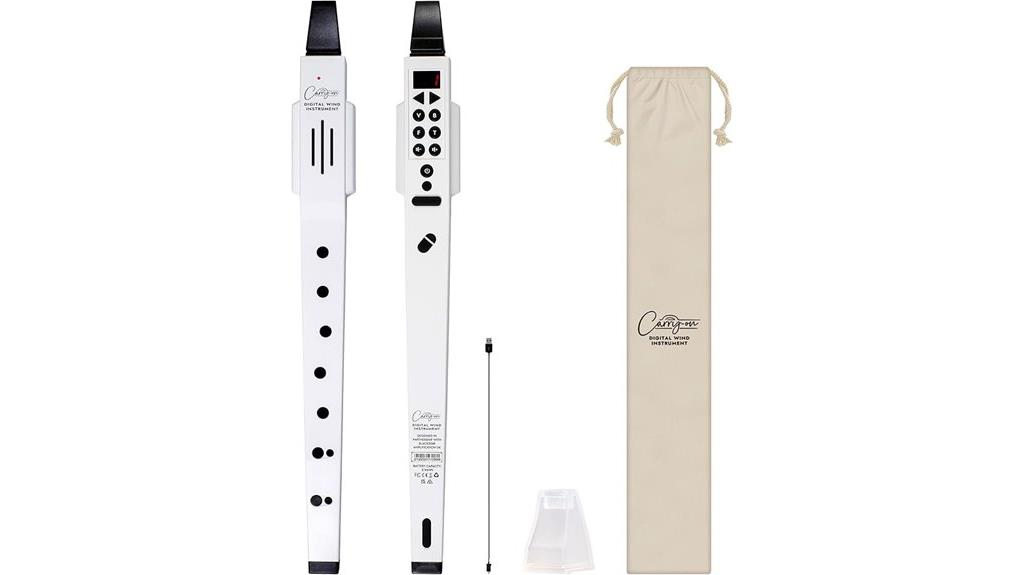 portable bluetooth wind instrument