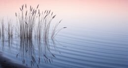 add motion with gentle variation