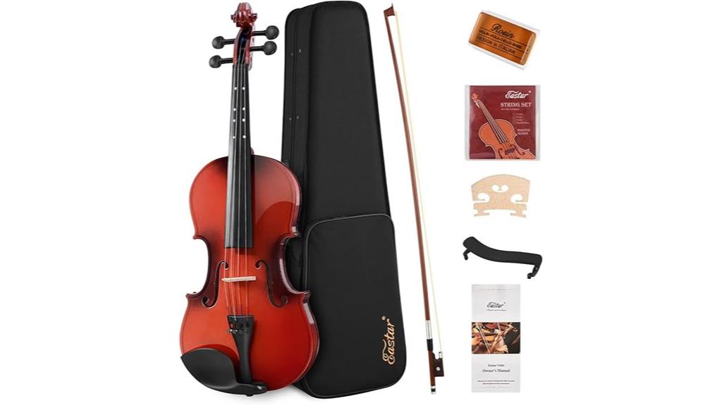 beginner violin kit included