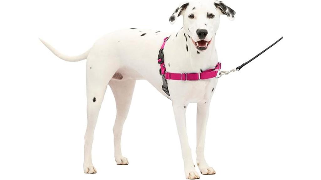 dog harness for larger breeds