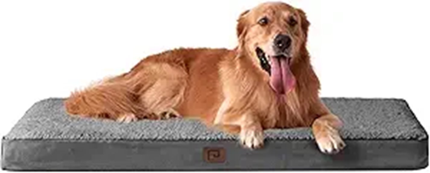 extra large dog bed