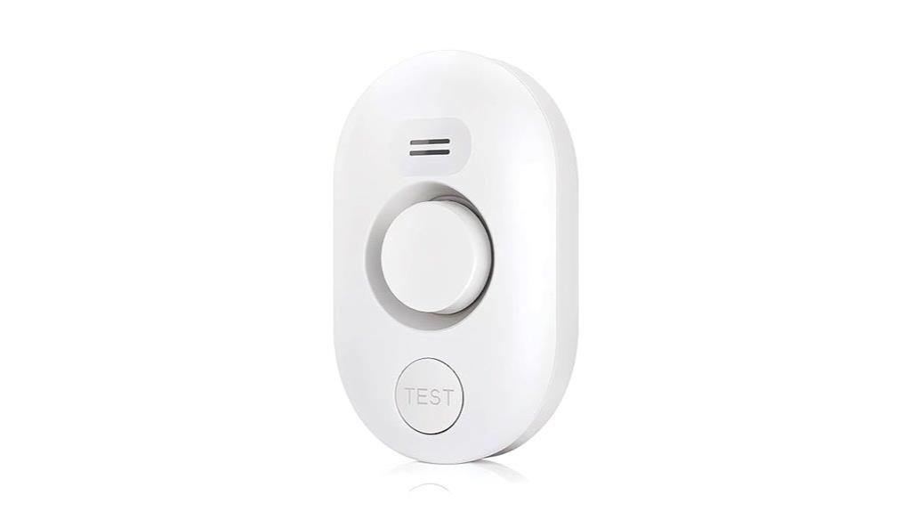 home flood leak sensor