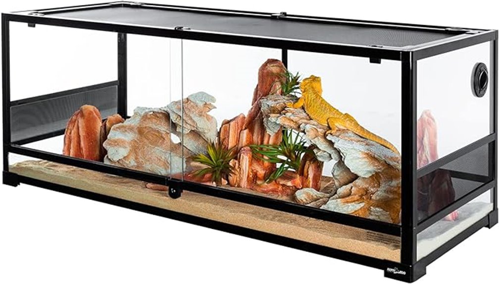 large glass reptile habitat