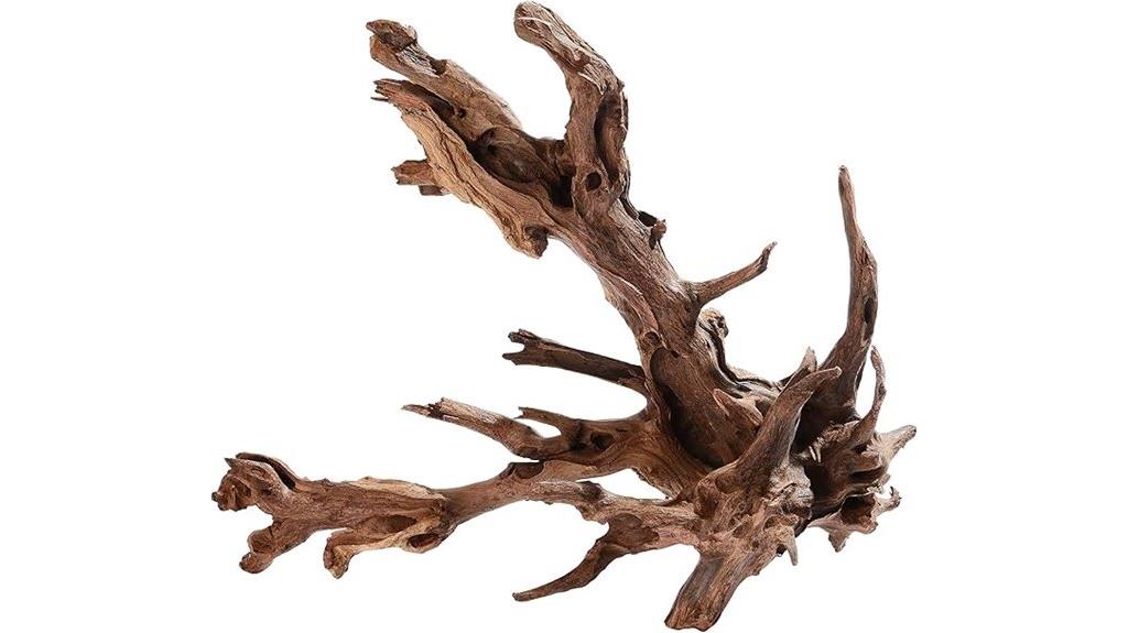 large natural aquarium driftwood