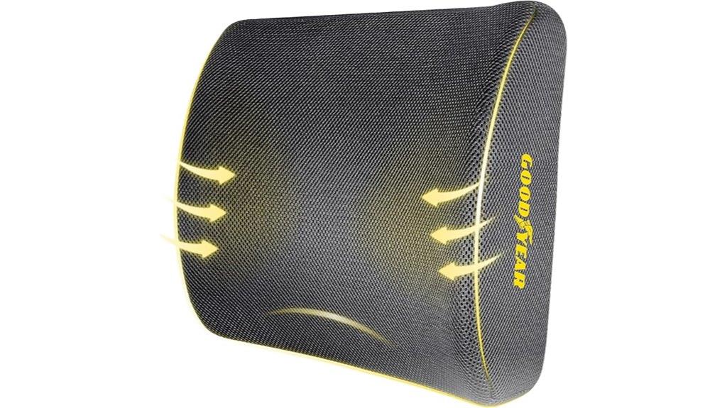 lumbar support pillow
