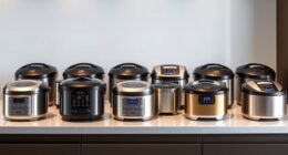 luxury rice cooker reviews