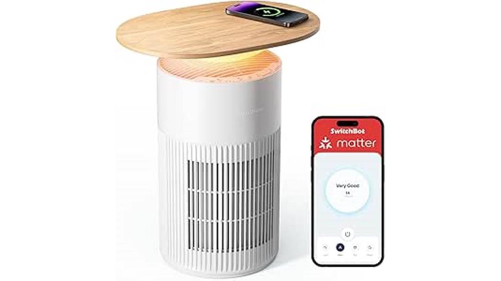 multi functional air purifier