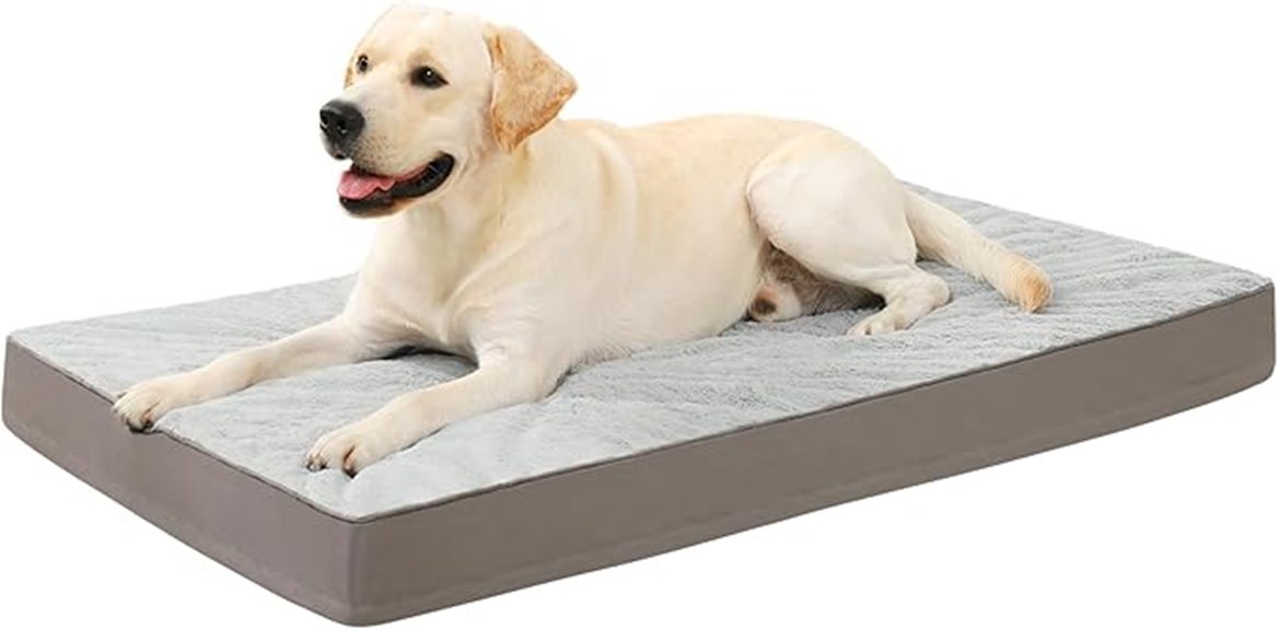 orthopedic dog bed features