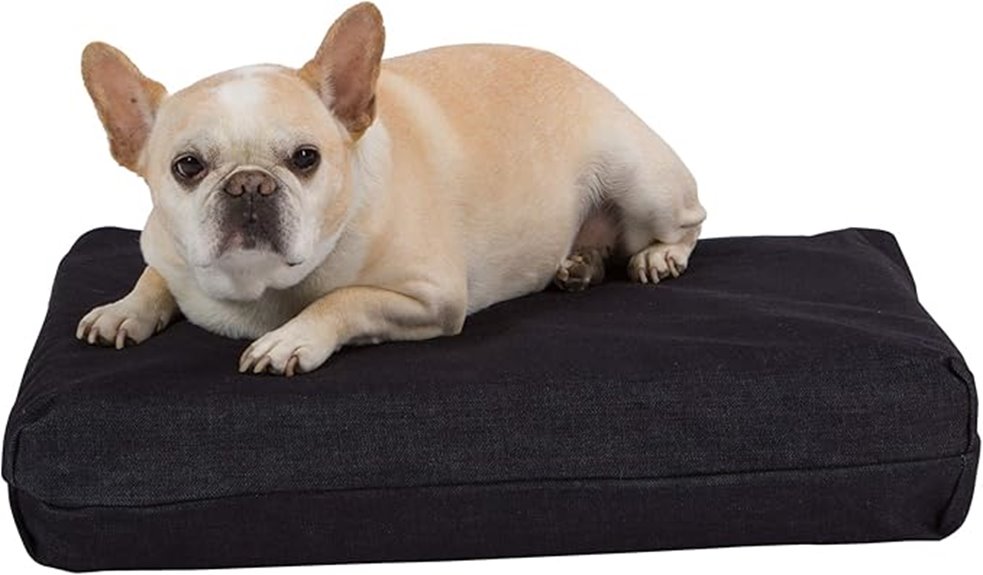 orthopedic dog bed