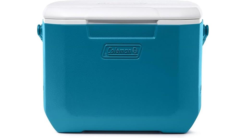 portable 16 quart cooler