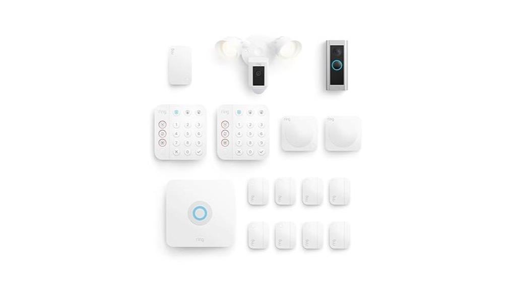security system with cameras