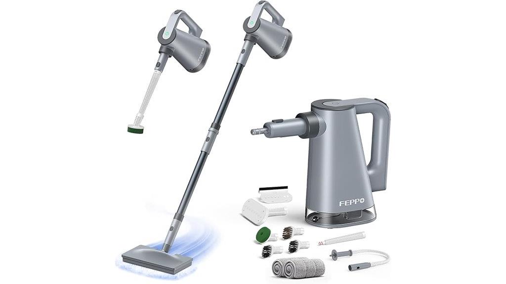 steam cleaning portable versatile