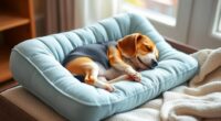 top orthopedic dog pillows