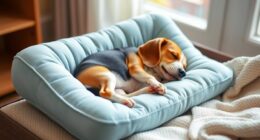 top orthopedic dog pillows