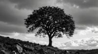 balancing elements for emphasis