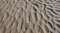 enhancing minimal track textures