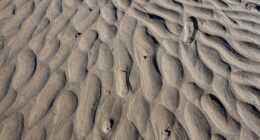enhancing minimal track textures